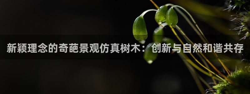 新宝gg代理条件