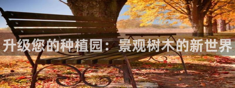 新宝gg提点