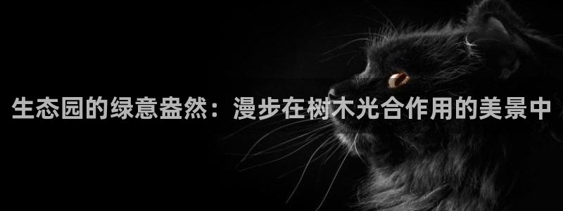 新宝gg如何赚钱