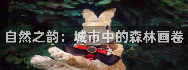创造奇迹 新宝gg：自然之韵：城市中的森林画卷