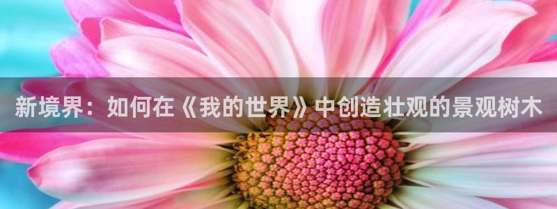 新宝gg娱乐vovq