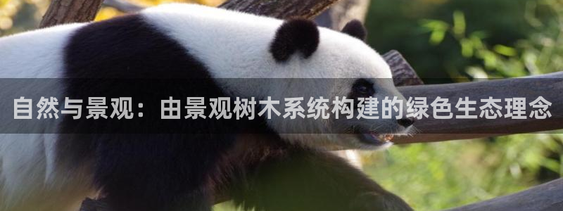 新宝GG以355051：自然与景观：由景观树木系统构建的绿色生态理念