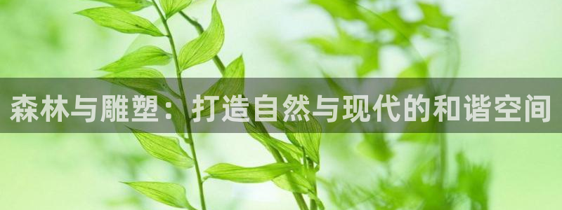 手机新宝gg