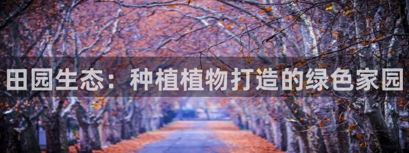 新宝gg开户流程