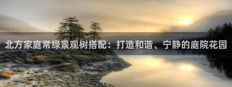 新宝GG53339咨询新宝GG