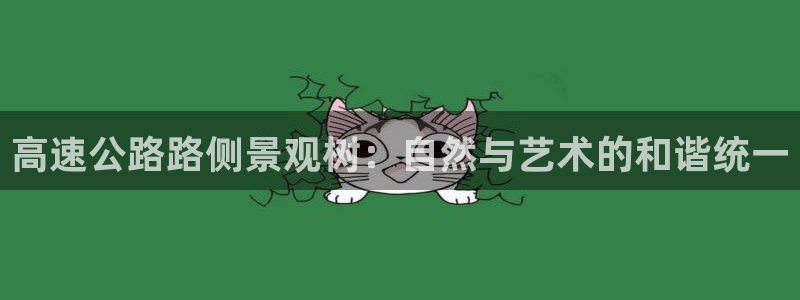 新宝GG电话