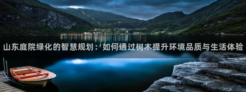 正版新宝gg