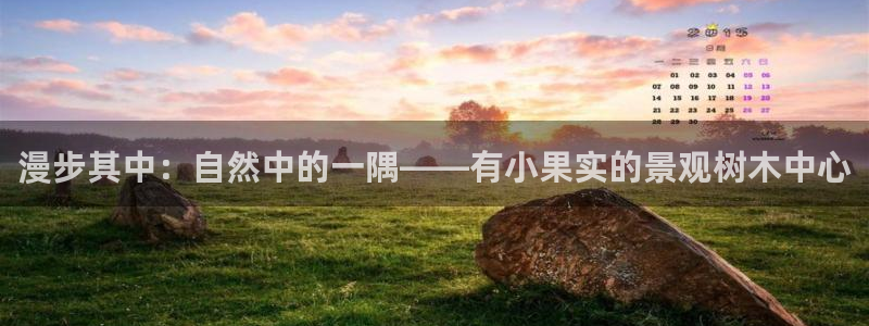 新宝gg游戏平台