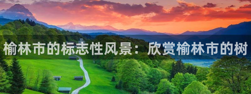 新宝gg主管开