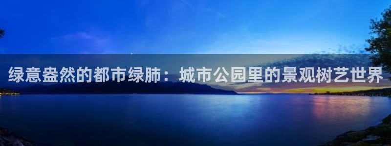 新宝gg首页