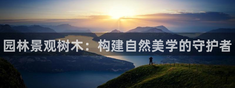 新宝gg 金苹果