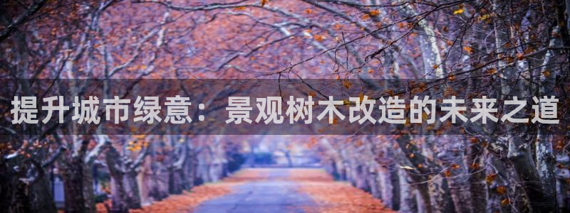 新宝gg如何代理