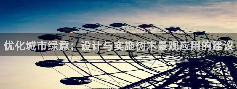 正版新宝gg