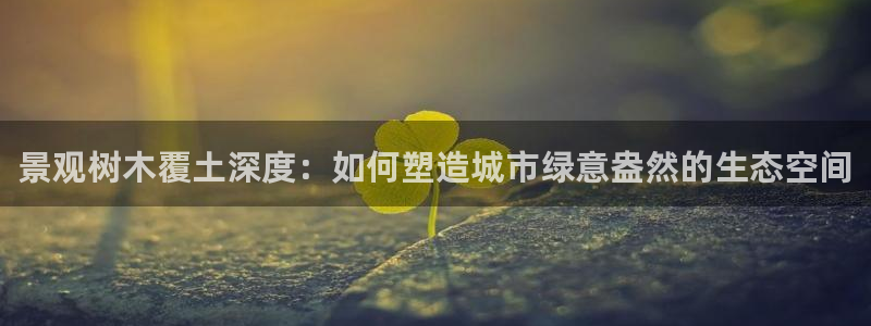 新宝gg 网址