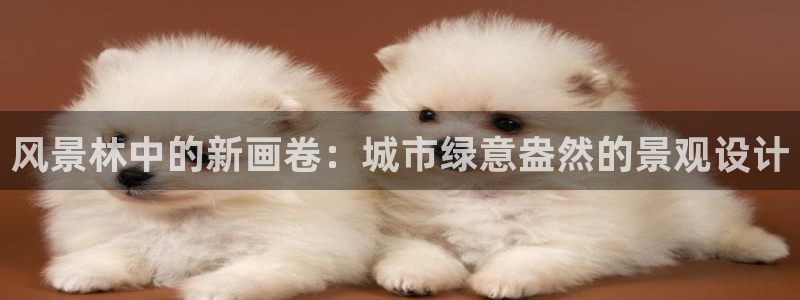 新gg官网_新宝GG创造奇迹