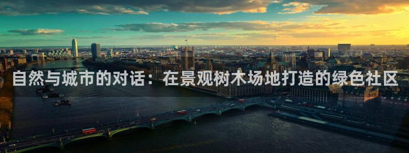 新宝gg网址
