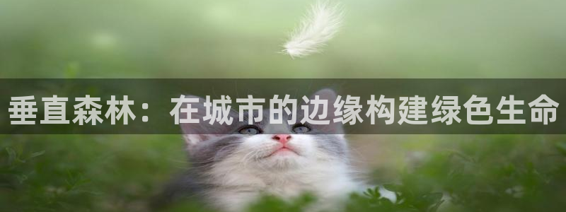 新宝gg博客