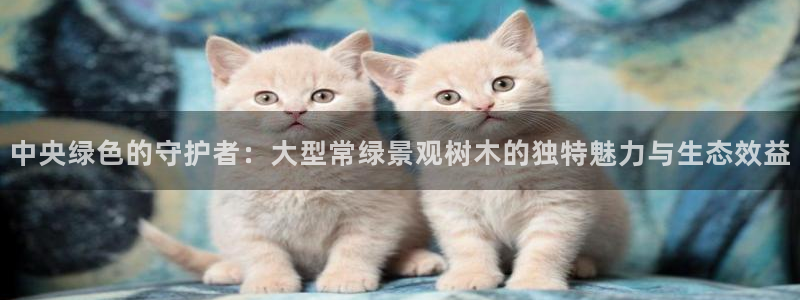 新宝gg平台连接