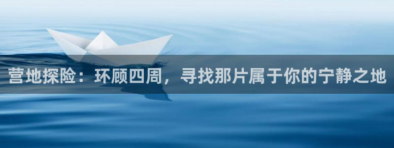 新宝GG最高返点多少