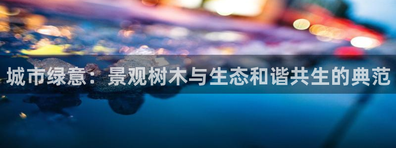 109新宝gg