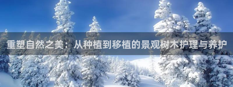 新宝gg登录页面：重塑自然之美：从种植到移植的景观树木护理与养护