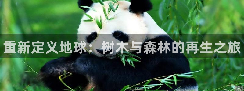 新宝gg如何赚钱