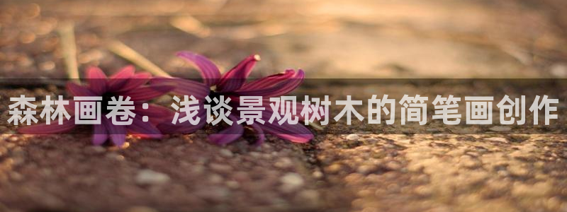 新宝gg首页平台