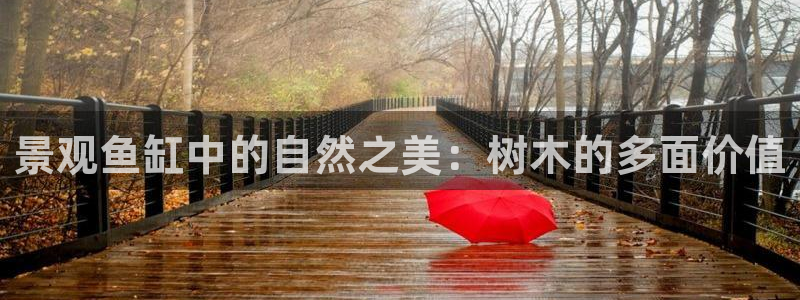 新宝gg创造奇迹下载