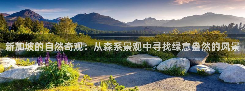 新宝gg运营88383：新加坡的自然奇观：从森系景观中寻找绿意盎然的风景