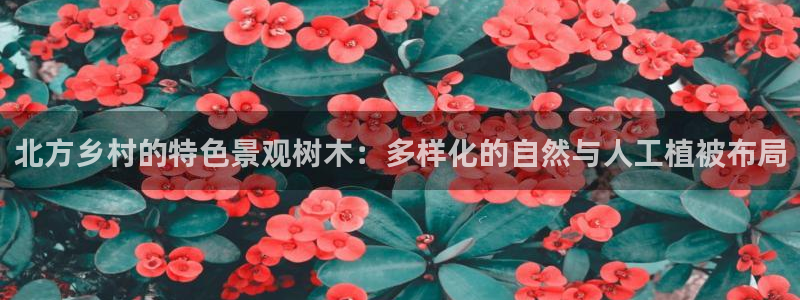 新宝gg网点：北方乡村的特色景观树木：多样化的自然与人工植被布局