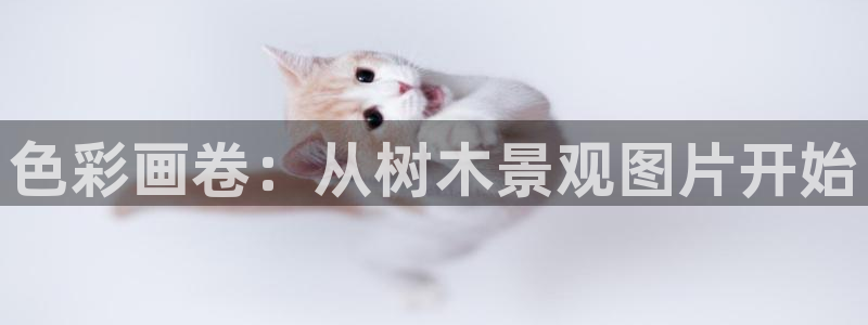 新宝GG勒55312：色彩画卷：从树木景观图片开始