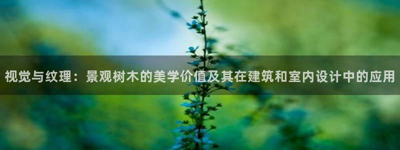 新宝时gg
