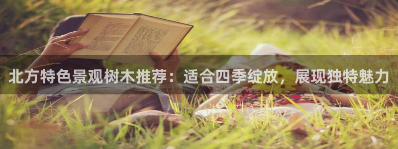 新宝gg帐号注册：北方特色景观树木推荐：适合四季绽放，展现独特魅力