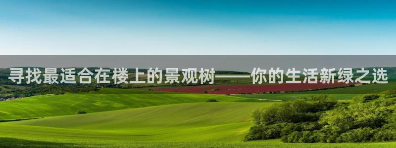 行新宝gg