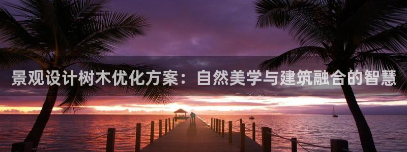 新宝gg主管