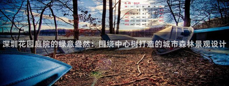 新宝gg正规：深圳花园庭院的绿意盎然：围绕中心树打造的城市森林景观设计