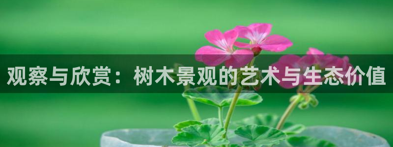 新宝gg娱乐首页：观察与欣赏：树木景观的艺术与生态价值