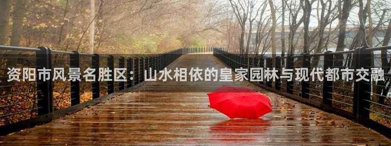 新宝gg代理条件