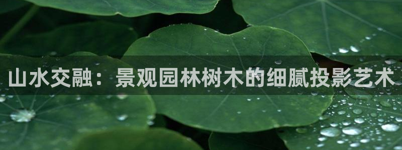 新宝gg主管都是谁