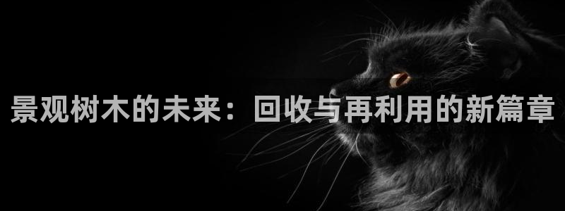 新宝gg代理条件