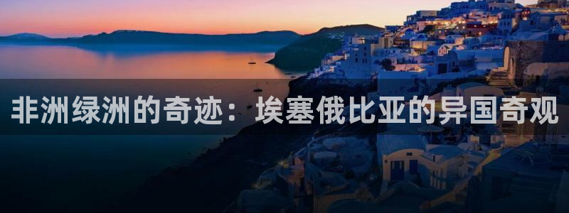 新宝gg手机助手