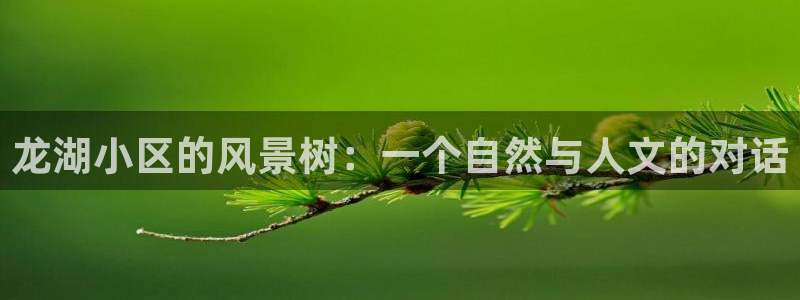 新宝gg平台连接