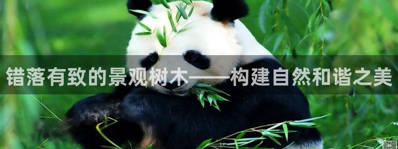 新宝gg招商-299136