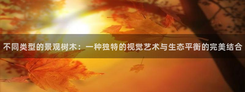 新宝GG网址新宝2