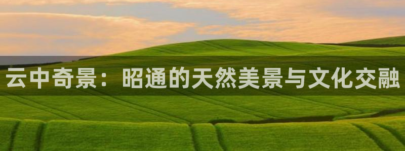 新宝GG官方域名