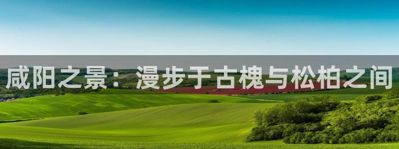 新宝gg开奖：咸阳之景：漫步于古槐与松柏之间