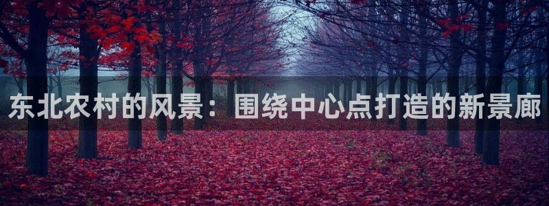 新宝gg一创造奇迹