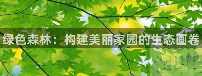 新宝gg招商致胜团队