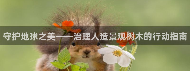 新宝gg主管都是谁：守护地球之美——治理人造景观树木的行动指南