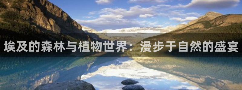 广东新宝电器gg